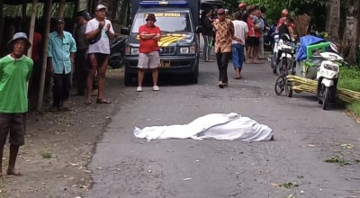 Pemotor asal Jombang Tewas Tertimpa Pohon Sengon di Kediri