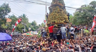Ribuan Warga Serbu Tumpeng Durian di Pasuruan, Disusun dari 2025 Buah