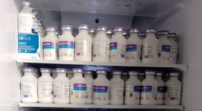 1.002 Ternak Tertular PMK, Disnakeswan Lamongan Distribusikan 7.050 Dosis Vaksin