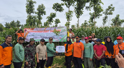 BPBD Tuban Tanam 10.000 Bibit Pohon Buah