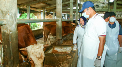 PMK Melandai, Disnakeswan Lamongan Berencana Buka Kembali Pasar Hewan
