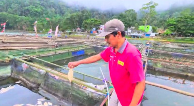 Ribuan Ikan Nila di Telaga Ngebel Ponorogo Mati, Pembudidaya Rugi Puluhan Juta
