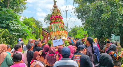 Benih Lobster, Tangkal Balak, Tantang Arema FC