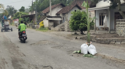Warga Kediri Tanam Pohon Pisang di Jalan Rusak karena Tak Kunjung Diperbaiki