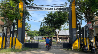 PMK Terkendali, Pasar Hewan di Lamongan Kembali Dibuka