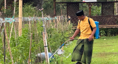 Tingkatkan Pengelolaan Lingkungan di Bangkalan, PHE WMO Kembali Raih Proper Emas