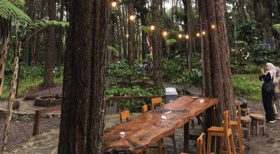 Menikmati Sensasi Ngabuburit Bernuansa Hutan Pinus di Jember