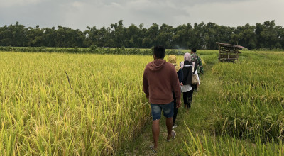 Serapan Gabah Bulog Kediri Lampaui Target, Nganjuk Sumbang Paling Banyak