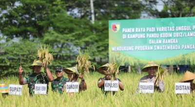 Unisla dan Kodim 0812 Lamongan Kembangkan Inovasi Padi Varietas