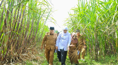 Melihat Lahan 9,7 Hektare di Malang yang Diperuntukan jadi Sekolah Rakyat