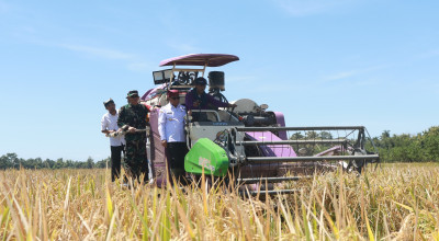 Banyuwangi Panen Raya Serentak, Dukung Program Swasembada Pangan Presiden