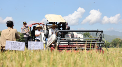 Panen Raya di Ponorogo, Bupati Sugiri Sancoko Pastikan Target Produksi Tercapai
