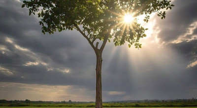 Hari Bumi 2025, Griya Ficus Tuban Gelar Aksi Konservasi Mata Air