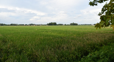 Pemkab Tulungagung Siapkan Lahan 7,1 Ha untuk Pembangunan Sekolah Rakyat