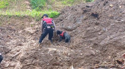 Anjing Pelacak Deteksi 3 Titik Diduga Lokasi Korban Longsor Trenggalek