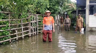 Banjir Luapan Bengawan Solo Lamongan Rendam 16 Desa di 5 Kecamatan