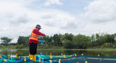 Program Keberlanjutan SIG Berbasis Lingkungan Serap 20 Ribu Tenaga Kerja