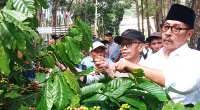 Aset Jember Satu Ini Sempat Eksis, Wabup Jember: 2019 Bisa Ekspor