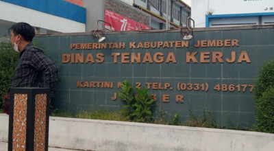 Pengangguran di Jember Makin Tinggi Tiap Tahun, Lulusan SMA/SMK Mendominasi