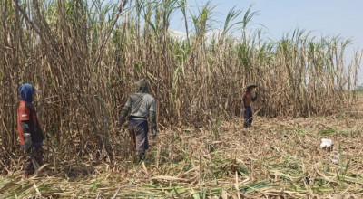 Mahasiswa Demo, Serap Ribuan Tenaga Kerja, RPJMD Jatim