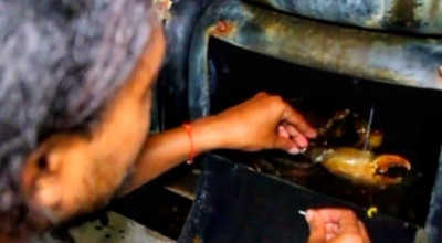 Pemuda Sidoarjo Sukses Budidaya Kepiting Jumbo di Jeriken