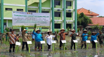 Kolaborasi Wujudkan Swasembada Pangan, Unisla Lamongan Tanam Padi PMJ 01
