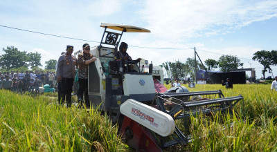 Petani Kediri Kembali Bersemangat Tanam Padi Berkat Terobosan Mas Dhito
