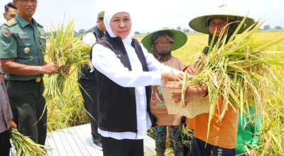 Produksi Padi Jatim Siap Wujudkan Swasembada Pangan Nasional