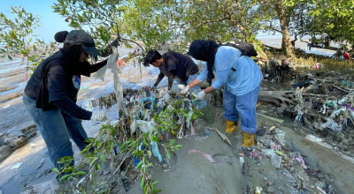 Pantai Timur Surabaya Tercekik Sampah Plastik, Mangrove Terancam Punah