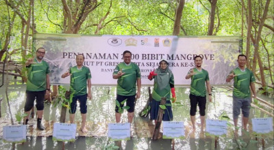 Gresik Cipta Sejahtera Tanam Ribuan Bibit Mangrove di Kawasan BMC Ujungpangkah