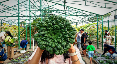 PAE Diharapkan Jadi Magnet Generasi Muda Kembangkan Sektor Pertanian