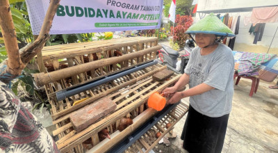 Taman Zakat Luncurkan Taman Gizi, Budidaya Ayam Petelur untuk Perkuat Ketahanan Pangan Keluarga