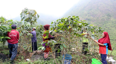 Foto: Memetik Energi Baik di Lereng Arjuna