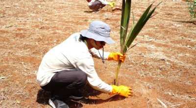 FTMM Unair Rehabilitasi Lahan Kritis Gili Iyang