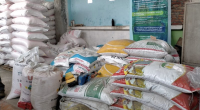 DKPP Kota Kediri Bakal Tindak Tegas Oknum yang Menaikkan Harga Pupuk Subsidi