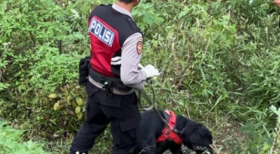 Anjing Unit K-9 Polda Jatim Bantu  Ungkap Identitas Korban Mutilasi Mojokerto