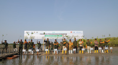Hijaukan Pesisir Pantai, Pelindo Regional 3 Tanam 147.400 Bibit Mangrove di Bangkalan