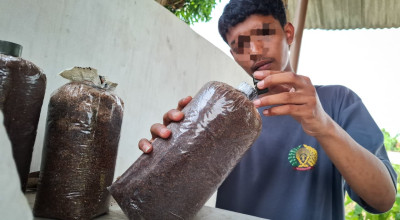 Napi Lapas Kediri Panen Jamur Tiram Capai 30 Kg, Dijual Murah untuk Masyarakat