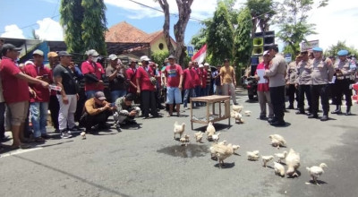 Peternak Ayam Broiler Lamongan Demo, Resah Sering Didatangi Oknum APH