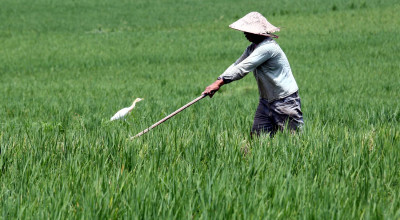 Dolomit SATARA, Solusi Suburkan Tanah Rilis Desember 2025