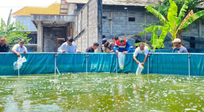 Kolam Bioflok Pertamina Tingkatkan Ekonomi Petani Gresik