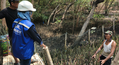 Sejak 2010, Terminal Petikemas Surabaya Komitmen Lestarikan Mangrove