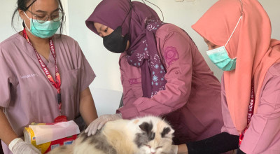 Peringati Hari Rabies Sedunia, Disnakeswan Tulungagung Gelar Vaksinasi Gratis