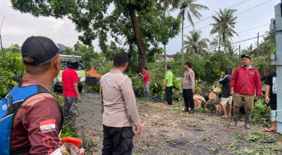 Hujan Deras Disertai Angin Kencang Terjadi di Blitar, Pohon Ambruk Tutup Jalan
