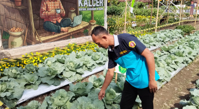 Urban Farming Culture Fest, Cara Kartar Kediri Gaet Minta Pemuda ke Pertanian Modern