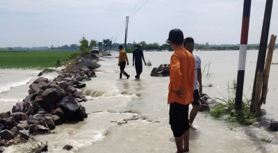 2 Waduk Meluap, Ratusan Hektar Sawah di Lamongan Terendam Banjir