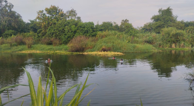 Remaja Tewas Tenggelam di Kubangan Bekas Galian Pasir Tulungagung