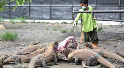 Membaca Usia Wisata Surabaya di Ujung 2025