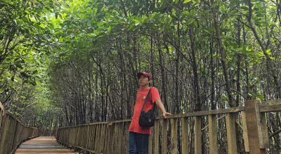 Potret Buram Wisata Mangrove Surabaya, Aset Nasional yang Terabaikan