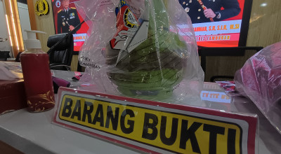 Warisan Jadi Motif Pembunuhan Keji Ayah ke Anak Sendiri di Lamongan